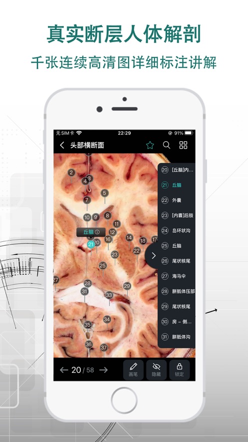 掌上3D解剖app3