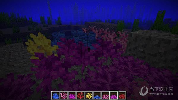 我的世界1.13正式版珊瑚