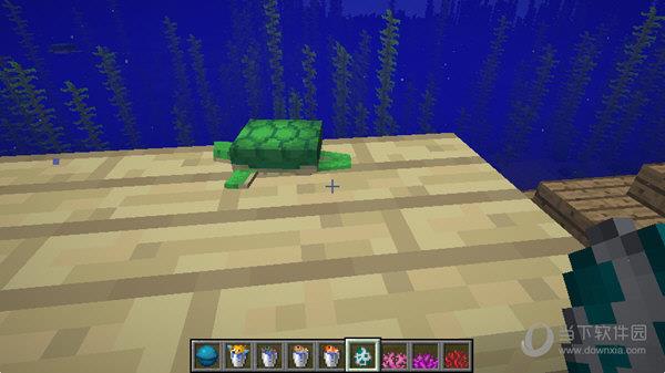 我的世界1.13正式版海龟