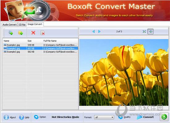 Boxoft Converter Master