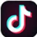 VTiktok(抖音下载工具) V1.0 官方版