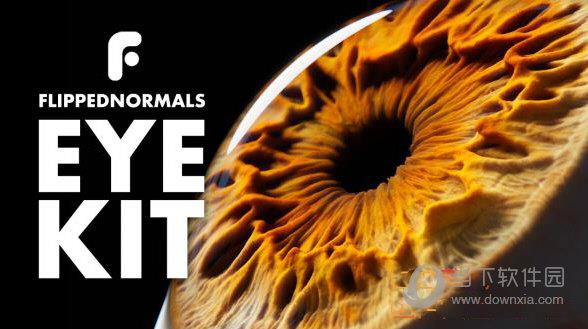 FlippedNormals-Eye Kit(真实眼睛模型预设工具包) V1.0 免费版