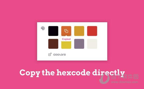 ColorFlick for Dribbble(Dribbble颜色代码复制插件) V0.0.1 Chrome版