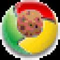 ChromeCookiesView(谷歌COOKIES查看工具) V1.55 绿色免费版