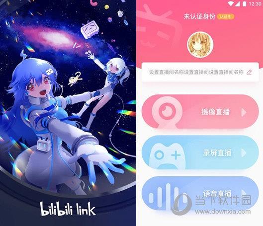 bilibili link电脑版 V4.12.0 免费PC版