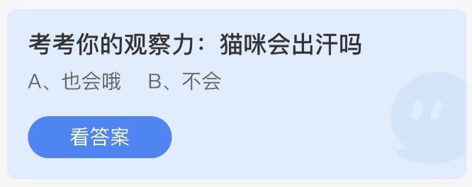 考考你的观察力猫咪会出汗吗 今日蚂蚁庄园答案3月3日