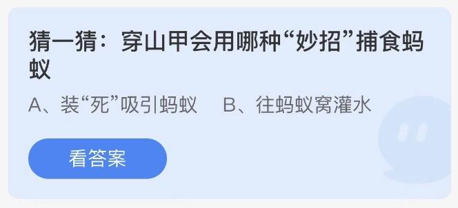 考考你的观察力猫咪会出汗吗 今日蚂蚁庄园答案3月4日