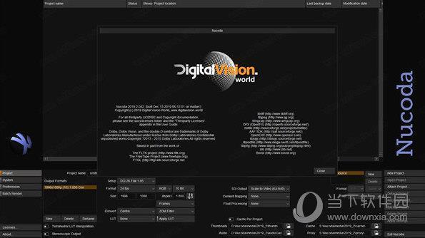 Digital Vision Nucoda(电影调色软件) V2020 中文破解版