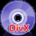 枫叶DivX格式转换器 V1.0 官方版