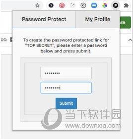 Passify(谷歌文档密码保护插件) V0.0.2 Chrome版