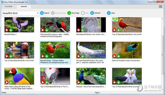 Any Video Downloader Pro中文版