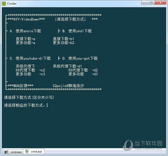 AYY-VideoDown(网页视频下载器) V2.2 绿色版