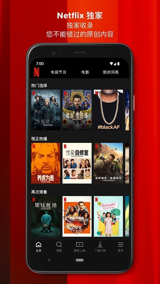 Netflix奈飞手机app下载2