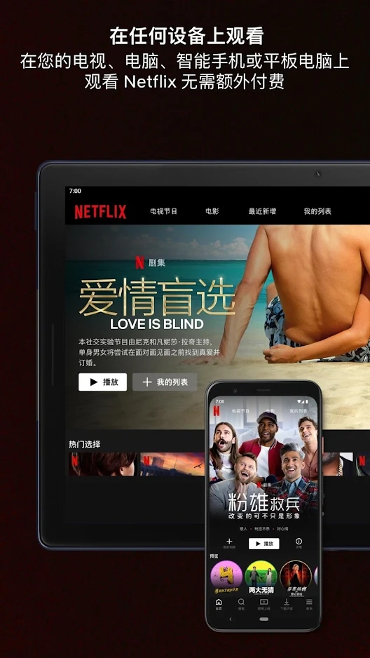 Netflix奈飞手机app下载6