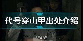 代号穿山甲是什么梗 代号穿山甲出处介绍