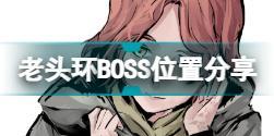 艾尔登法环BOSS在哪里  老头环BOSS位置分享