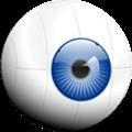 webcam+(网络摄像头应用) V1.6 Mac版