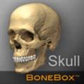 BoneBox Skull Viewer(头骨查看助手) V2.0.0 Mac版