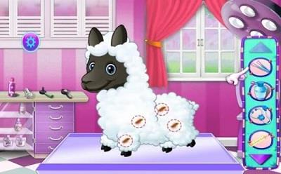 羊驼宠物护理2