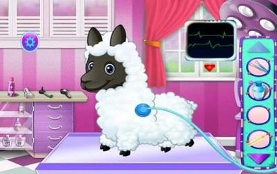 羊驼宠物护理3