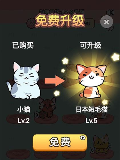 我的小猫2