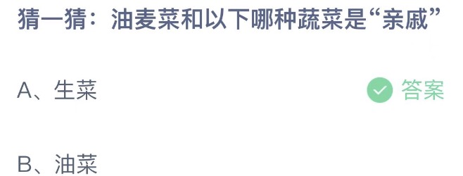 猜一猜油麦菜和以下哪种蔬菜是亲戚 蚂蚁庄园5月24日今天答案正确答案