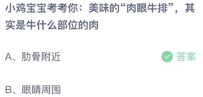 小鸡宝宝考考你美味的肉眼牛排其实是牛什么部位的肉 蚂蚁庄园7月5日今天答案正确答案