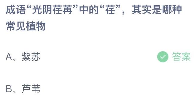 成语光阴荏苒中的荏其实是哪种常见植物 蚂蚁庄园7月25日今天答案正确答案