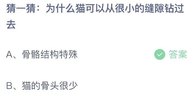 猜一猜为什么猫可以从很小的缝隙钻过去 支付宝蚂蚁庄园8月18日答案