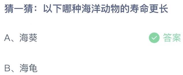 猜一猜以下哪种海洋动物的寿命更长 支付宝蚂蚁庄园8月21日答案