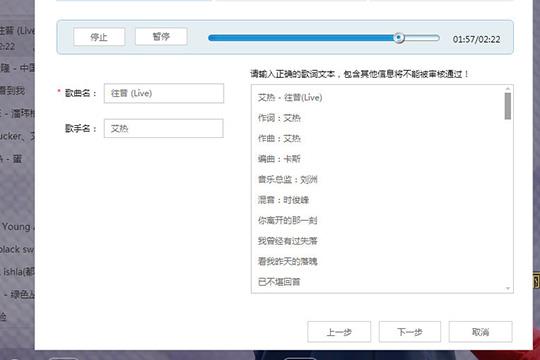 进行歌曲名和歌手名的确认与修改