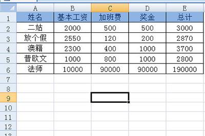 拥有5名员工的工资表