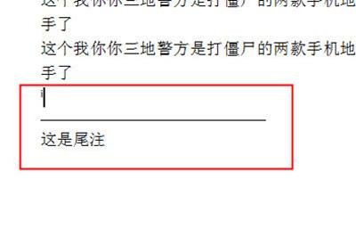 你可以在里面添加你尾注的内容