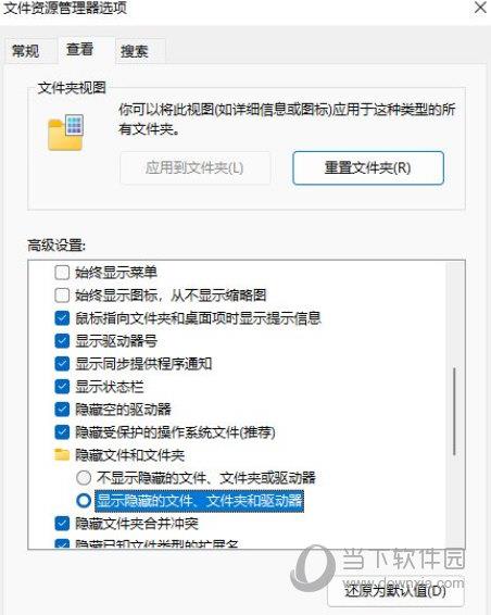 Window11隐藏文件怎么显示出来