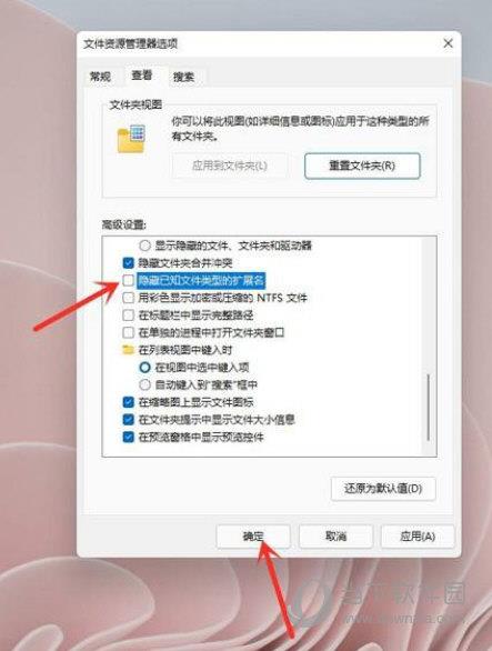 Windows11怎么显示文件后缀名