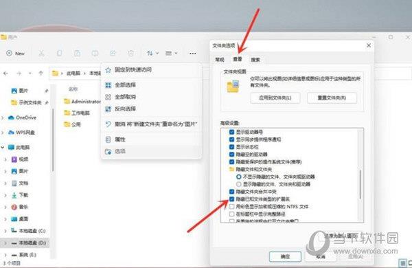 Windows11怎么显示文件后缀名