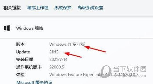 Windows11怎么看系统版本号