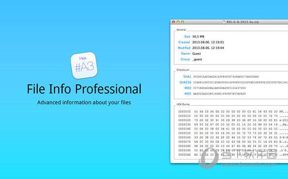 File Info Professional
