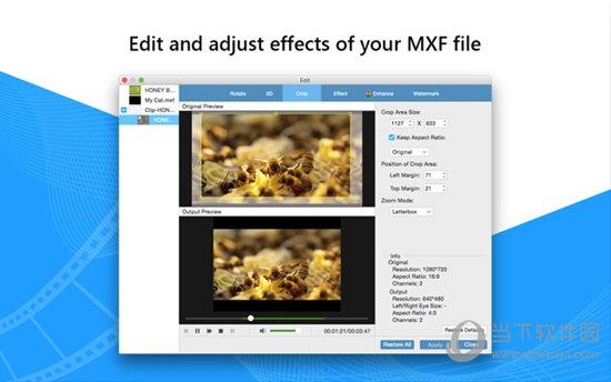 Tipard MXF Converter