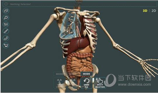 Visual Anatomy 3D
