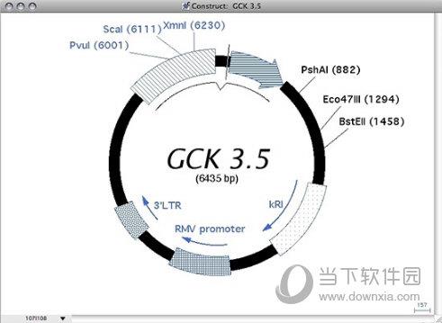 Gene Construction Kit