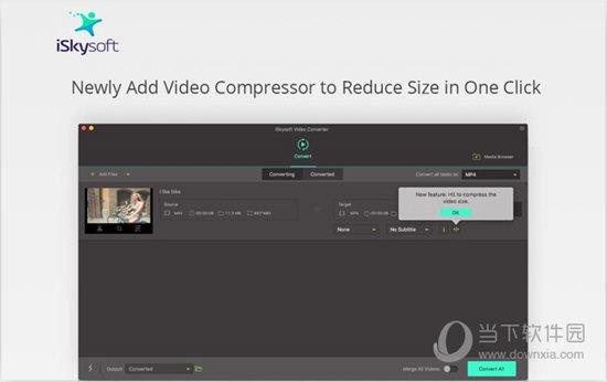 iSkysoft Video Converter