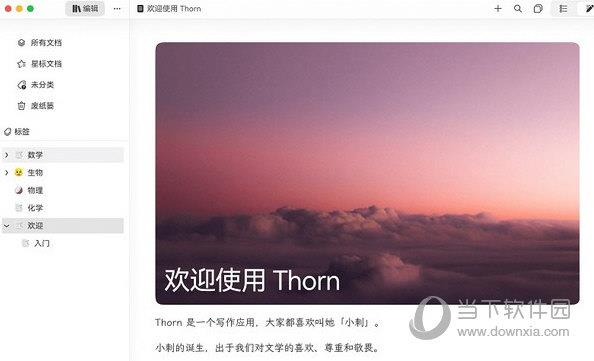 Thorn写作软件 V0.1.39 最新版