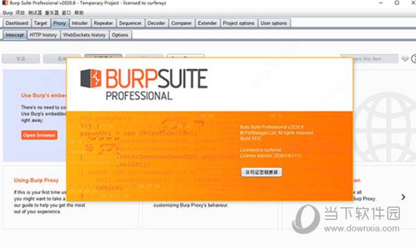 burpsuite pro汉化版 V2020.8.4 最新免费版