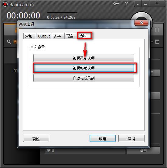 bandicam视频格式选项