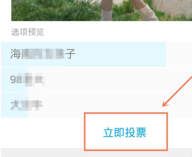 找到你要投票的选项，点击“立即投票"