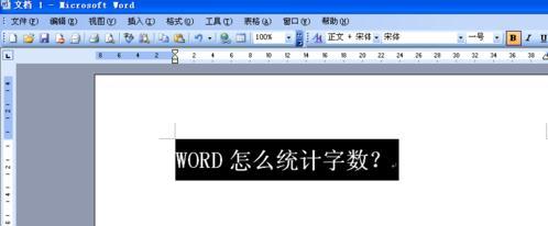 word主界面