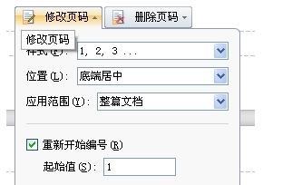 wps修改页码界面