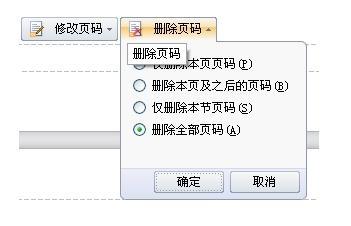 wps删除页码界面