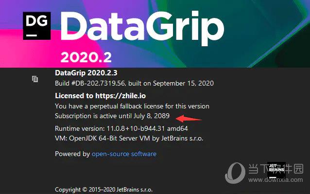 Jetbrains DataGrip(数据库管理软件) V2020.2 中文激活版